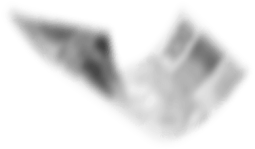 dinheiro voando cora 1